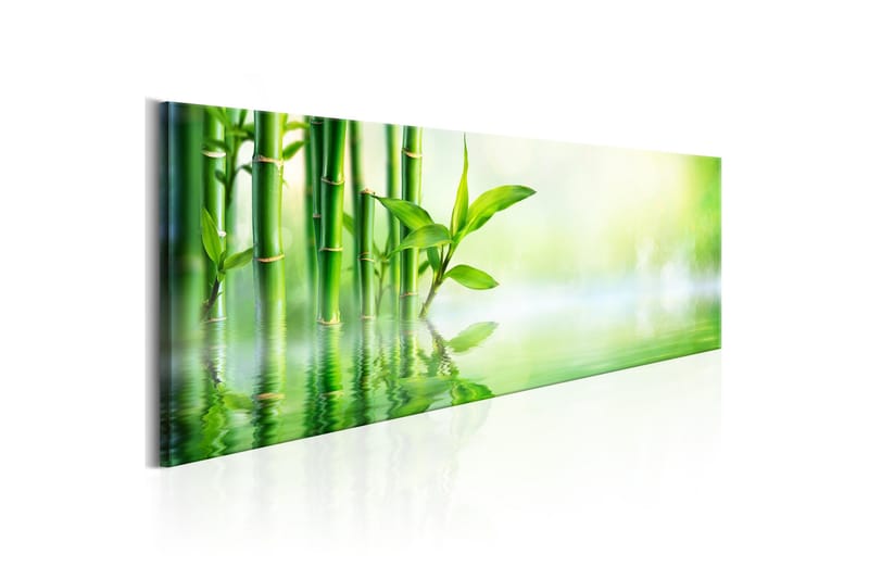 Tavla Green Bamboo 135x45, Artgeist sp. z o. o.