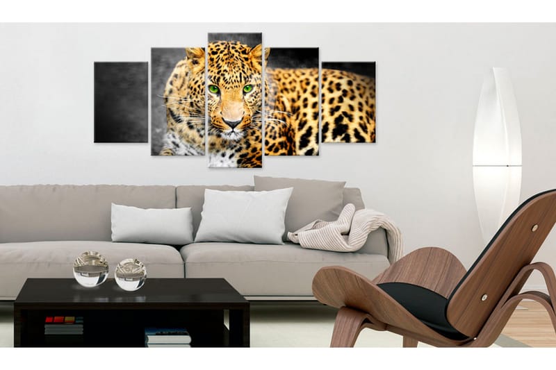 Tavla Green-Eyed Leopard 100x50 - Artgeist sp. z o. o. - Inredning - Tavlor & konst - Canvastavlor