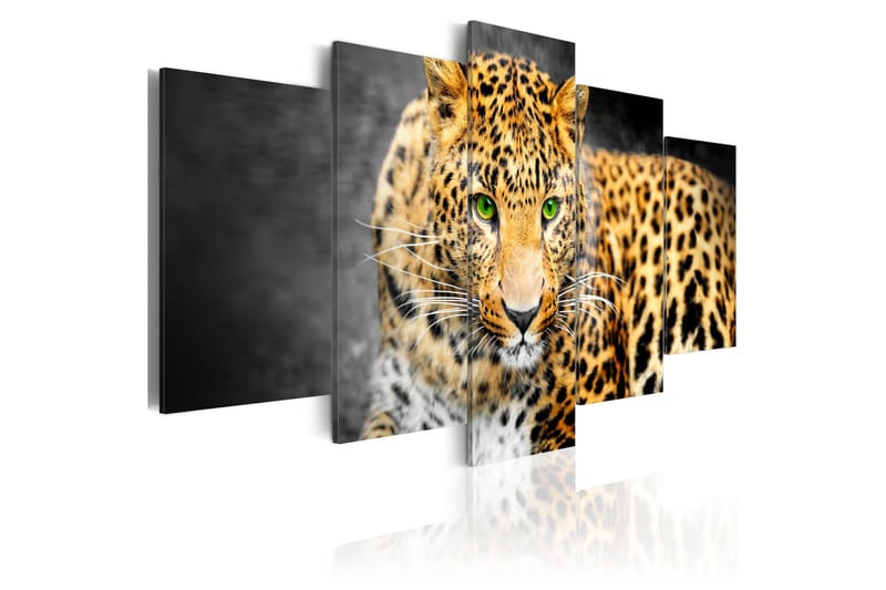 Tavla Green-Eyed Leopard 100x50, Artgeist sp. z o. o.