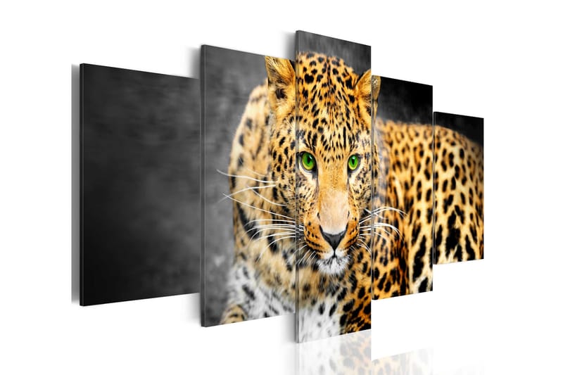 Tavla Green-Eyed Leopard 200x100, Artgeist sp. z o. o.