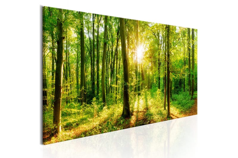 Tavla Green Magic 150x50 - Artgeist sp. z o. o. - Inredning - Tavlor & konst - Canvastavlor