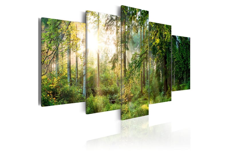 Tavla Green Sanctuary 100x50, Artgeist sp. z o. o.