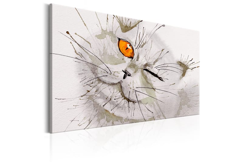 Tavla Grey Cat 120x80 - Artgeist sp. z o. o. - Inredning - Tavlor & konst - Canvastavlor