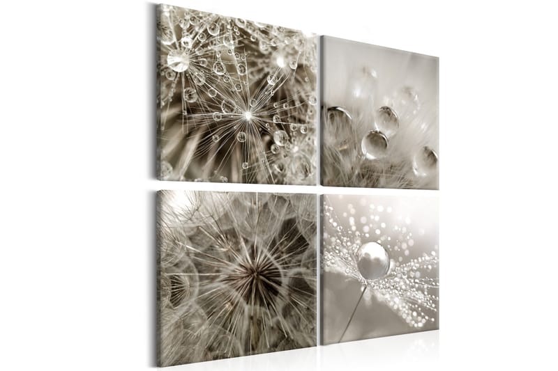 Tavla Grey Dandelion 60x60, Artgeist sp. z o. o.