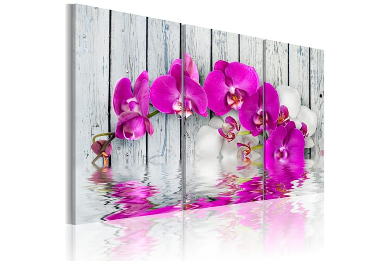Tavla harmony: orchid Triptych 90x60, Artgeist sp. z o. o.