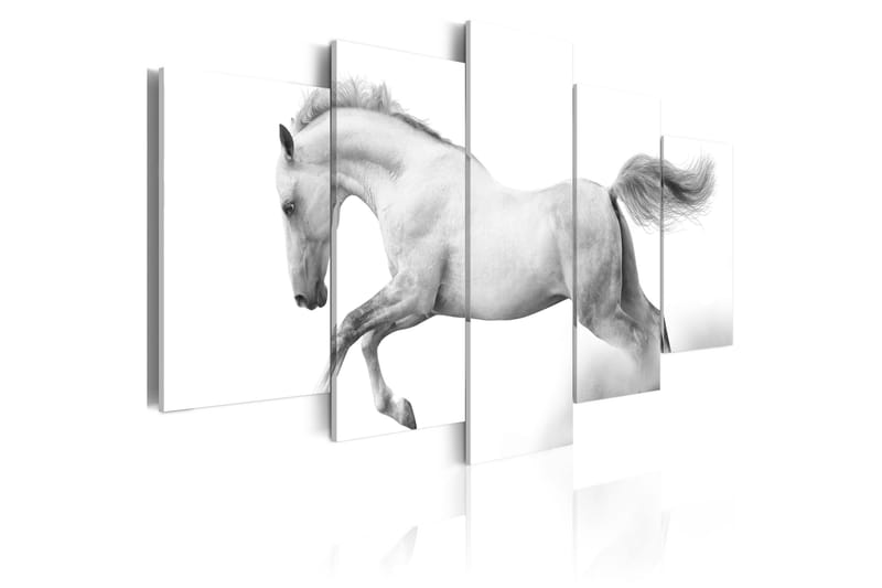 Tavla Horse- Passion And Freedom 200x100, Artgeist sp. z o. o.