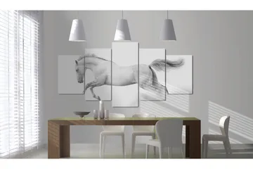 Tavla Horse- Passion And Freedom 200x100 - Artgeist sp. z o. o. - Inredning - Tavlor & konst - Canvastavlor
