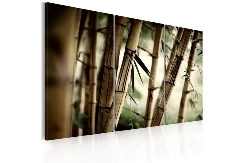 Tavla In A Tropical Forest 120x80, Artgeist sp. z o. o.