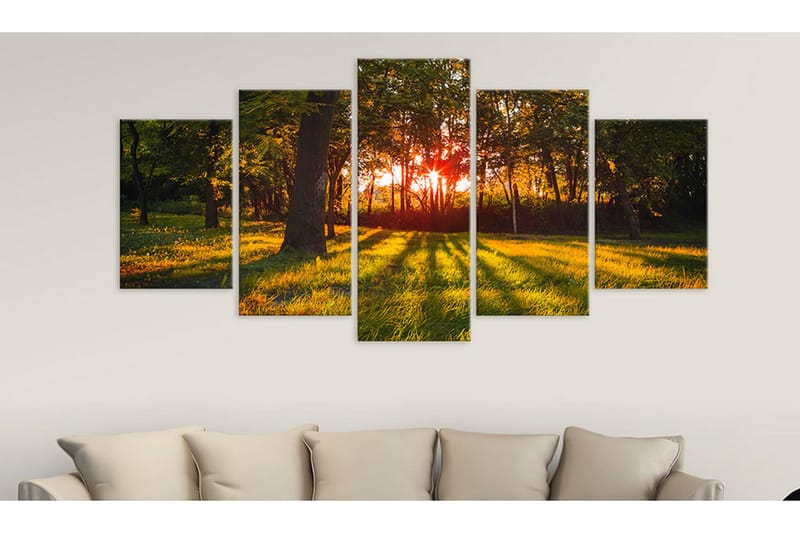 Tavla In The Shade Of Forest 100x50 - Artgeist sp. z o. o. - Inredning - Tavlor & konst - Canvastavlor