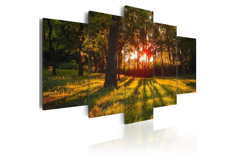 Tavla In The Shade Of Forest 200x100, Artgeist sp. z o. o.