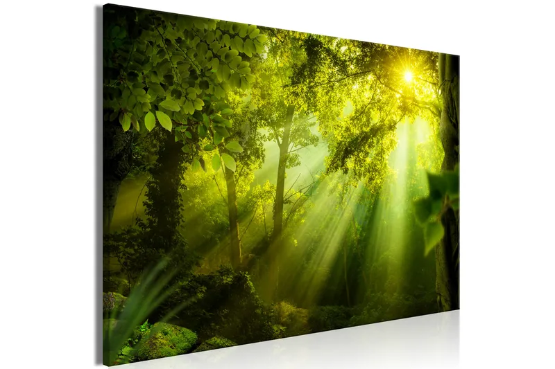 Tavla In the Sunshine (1 Part) Wide 120x80 - Artgeist sp. z o. o. - Inredning - Tavlor & konst - Canvastavlor