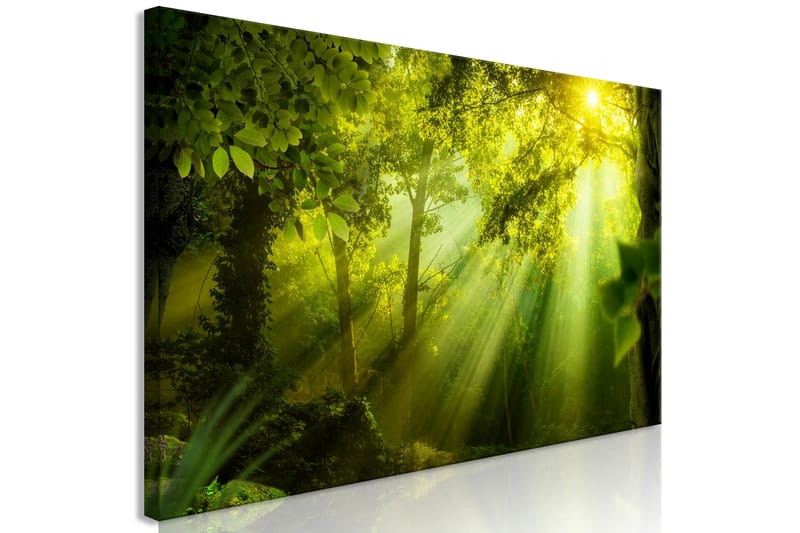 Tavla In the Sunshine (1 Part) Narrow 150x50 - Artgeist sp. z o. o. - Inredning - Tavlor & konst - Canvastavlor