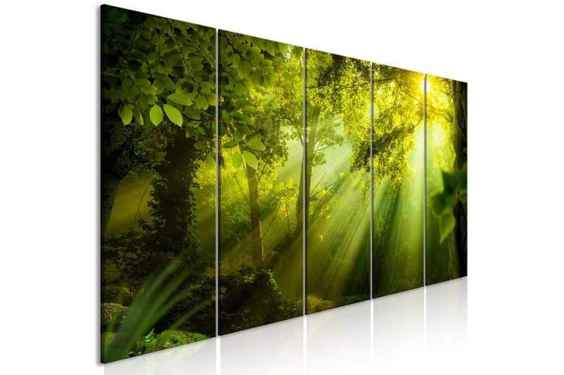 Tavla In The Sunshine 5 Parts Narrow 225x90, Artgeist sp. z o. o.