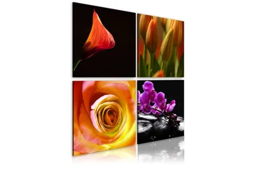 Tavla Kärnan Av Skönhet 80x80 - Artgeist sp. z o. o. - Inredning - Tavlor & konst - Canvastavlor