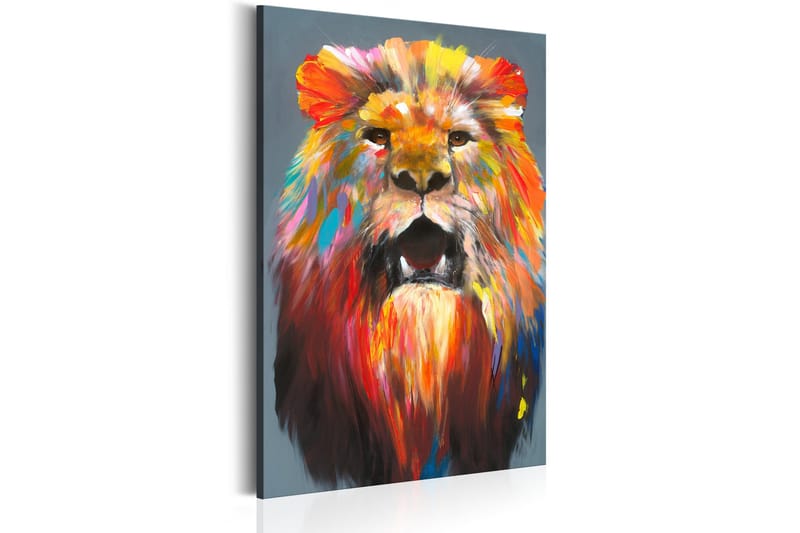 Tavla King of Colours 40x60 - Artgeist sp. z o. o. - Inredning - Tavlor & konst - Canvastavlor