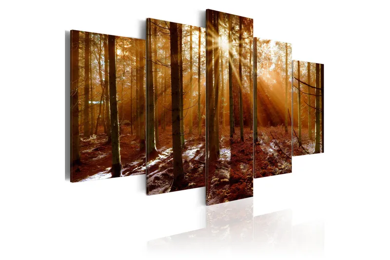 Tavla Kiss Of Autumn 100x50 - Artgeist sp. z o. o. - Inredning - Tavlor & konst - Canvastavlor