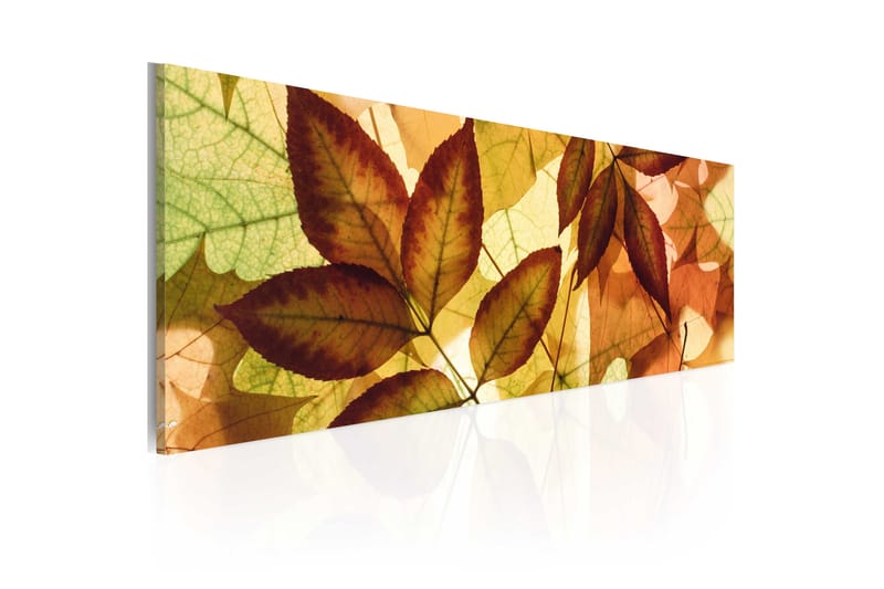 Tavla Kollage Löv 120x40 - Artgeist sp. z o. o. - Inredning - Tavlor & konst - Canvastavlor