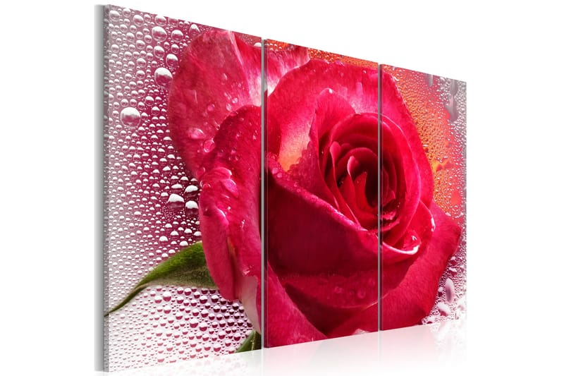 Tavla Lady Rose Triptych 60x40, Artgeist sp. z o. o.