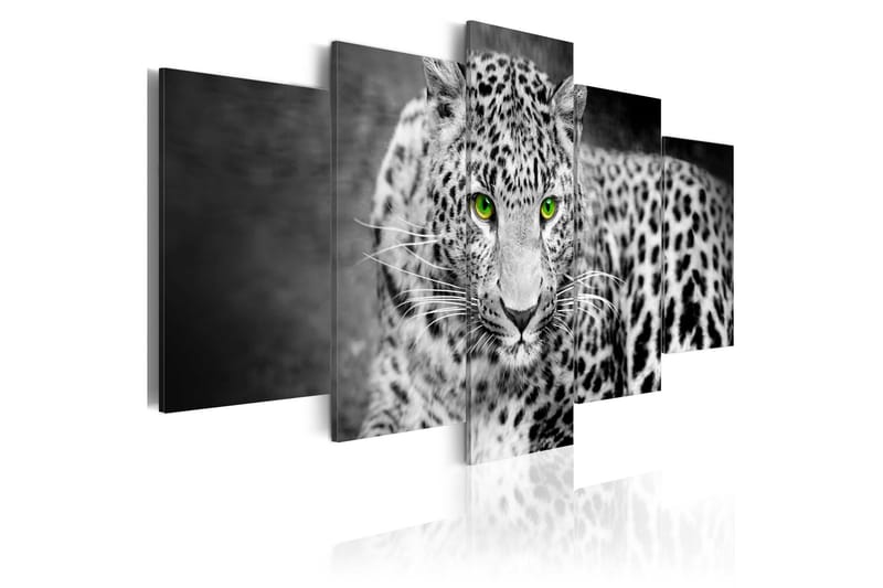 Tavla Leopard Black&White 100x50, Artgeist sp. z o. o.