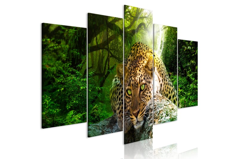Tavla Leopard Lying 5 Parts Wide Green 200x100, Artgeist sp. z o. o.