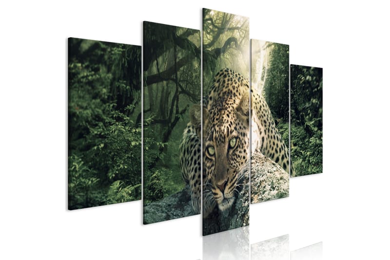 Tavla Leopard Lying 5 Parts Wide Pale Green 100x50, Artgeist sp. z o. o.