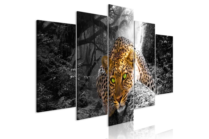 Tavla Leopard Lying 5 Parts Wide Grey 200x100 - Artgeist sp. z o. o. - Canvastavlor