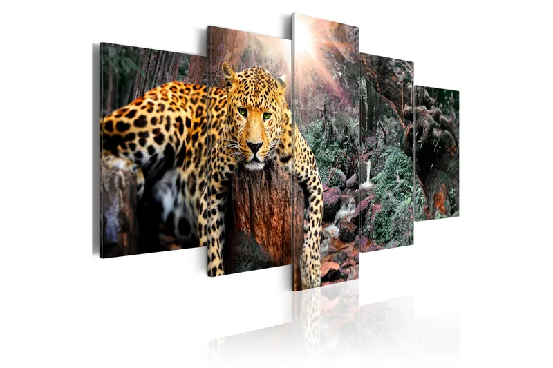 Tavla Leopard Relaxation 100x50, Artgeist sp. z o. o.