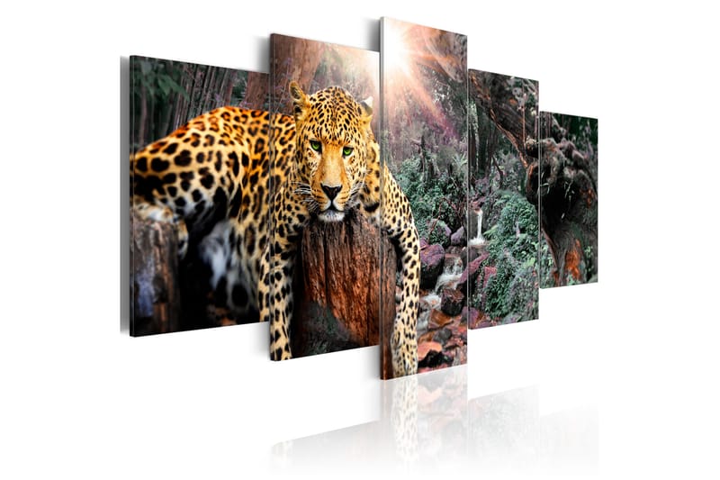 Tavla Leopard Relaxation 200x100 - Artgeist sp. z o. o. - Inredning - Tavlor & konst - Canvastavlor