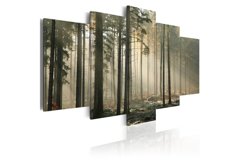 Tavla Light In A Dark Forest 100x50, Artgeist sp. z o. o.