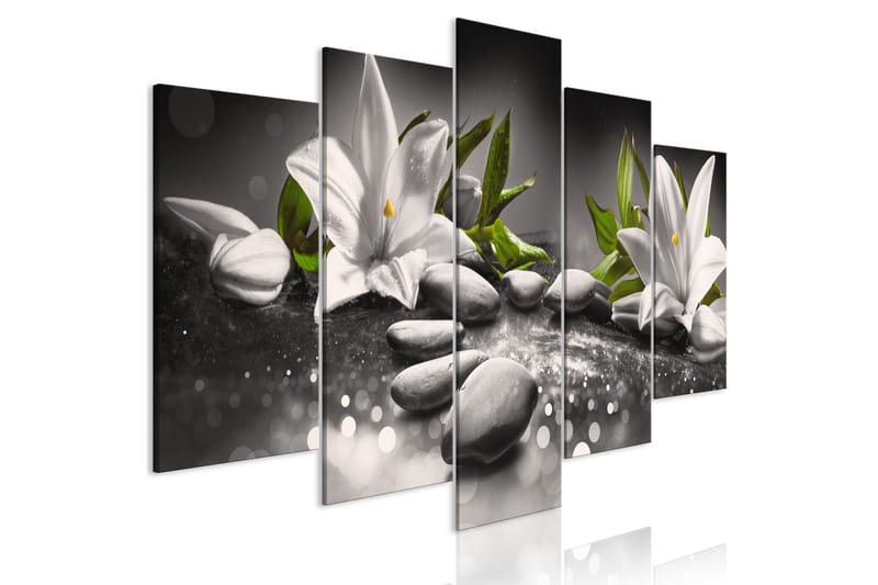 Tavla Lilies And Stones 5 Parts Wide Grey 100x50, Artgeist sp. z o. o.