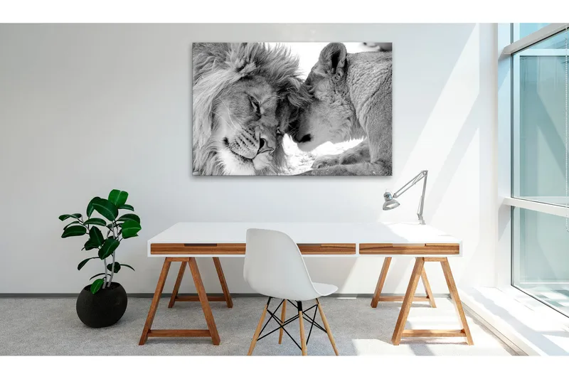 Tavla Lion's Love 60x40, Artgeist sp. z o. o.
