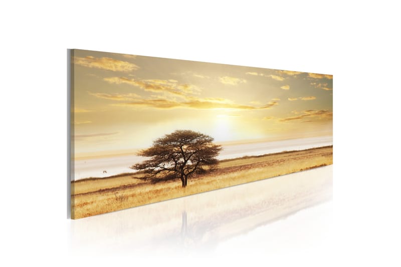 Tavla Lonely Tree On Savannah 135x45 cm, undefined