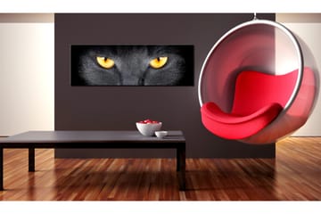 Tavla Look Into My Eyes 120x40 - Artgeist sp. z o. o. - Inredning - Tavlor & konst - Canvastavlor