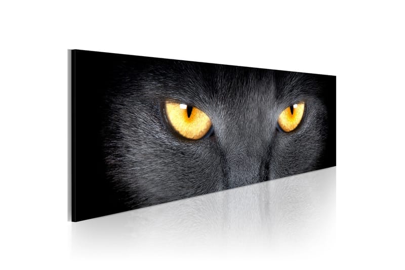 Tavla Look Into My Eyes 135x45 cm, undefined