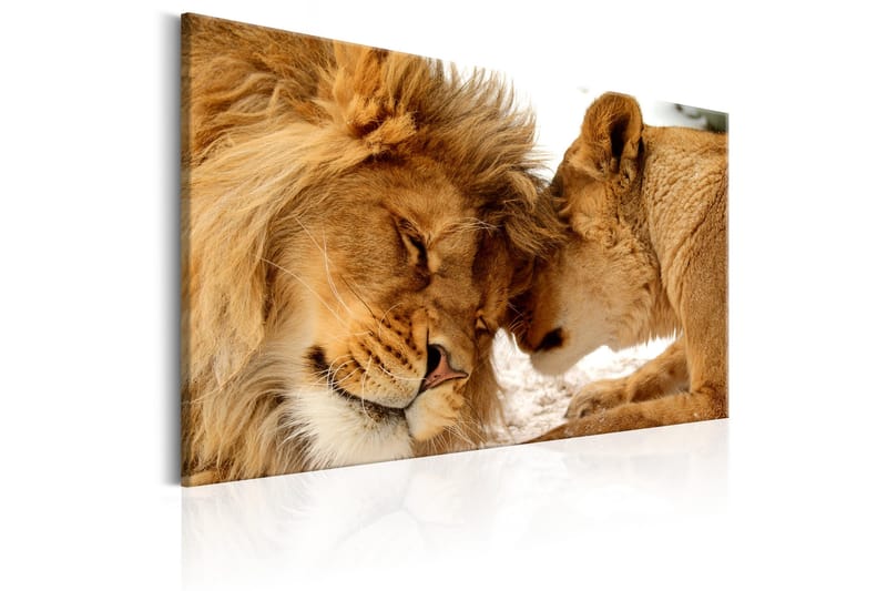 Tavla Love's Secret 120x80 - Artgeist sp. z o. o. - Inredning - Tavlor & konst - Canvastavlor