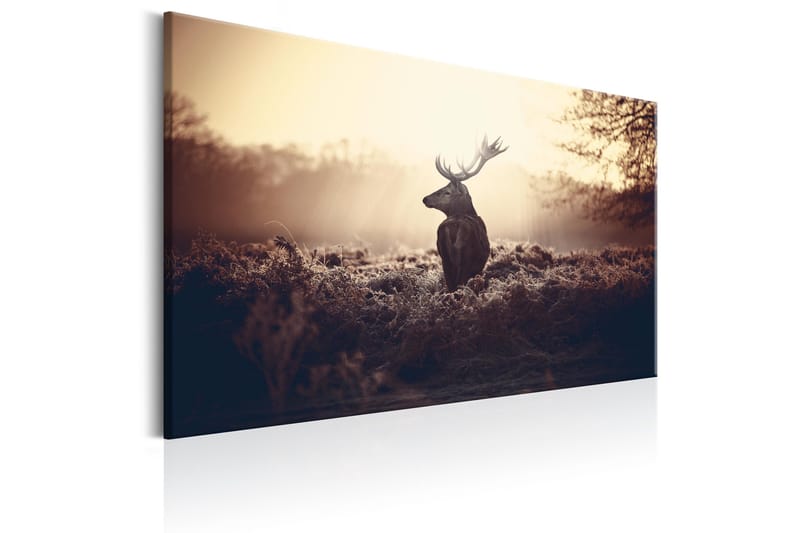 Tavla Lurking Deer 90x60 - Artgeist sp. z o. o. - Inredning - Tavlor & konst - Canvastavlor