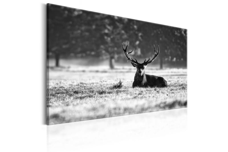 Tavla Lying Deer 90x60 - Artgeist sp. z o. o. - Inredning - Tavlor & konst - Canvastavlor