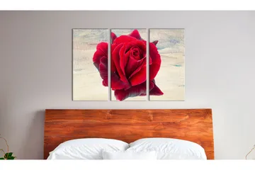 Tavla Lyrical Rose 120x80 - Artgeist sp. z o. o. - Inredning - Tavlor & konst - Canvastavlor