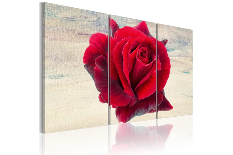 Tavla Lyrical rose 90x60, Artgeist sp. z o. o.
