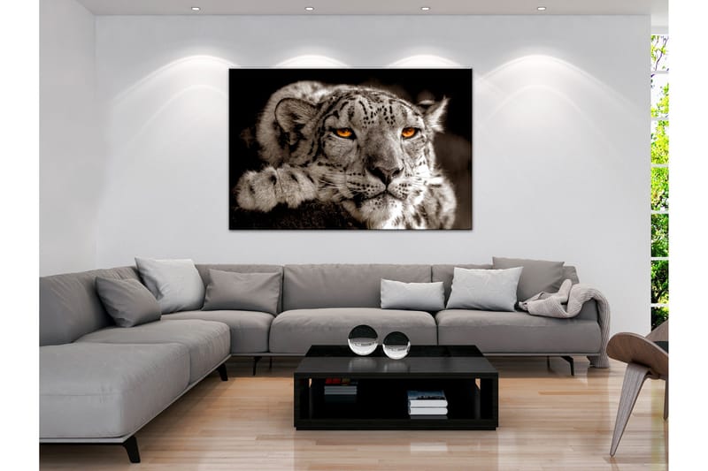 Tavla Magic Eyes (1 Part) Wide 120x80, Artgeist sp. z o. o.