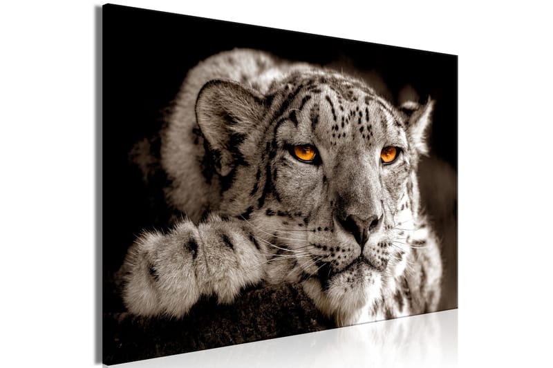 Tavla Magic Eyes (1 Part) Wide 120x80 - Artgeist sp. z o. o. - Inredning - Tavlor & konst - Canvastavlor