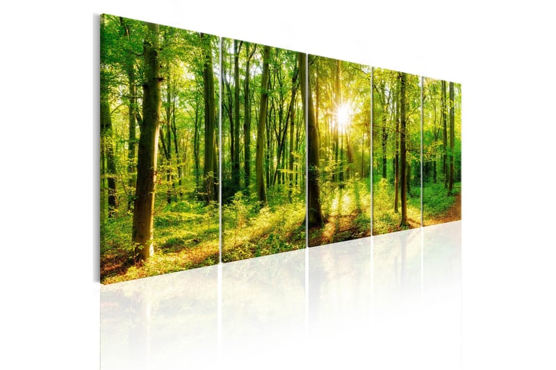 Tavla Magic Forest 225x90, Artgeist sp. z o. o.