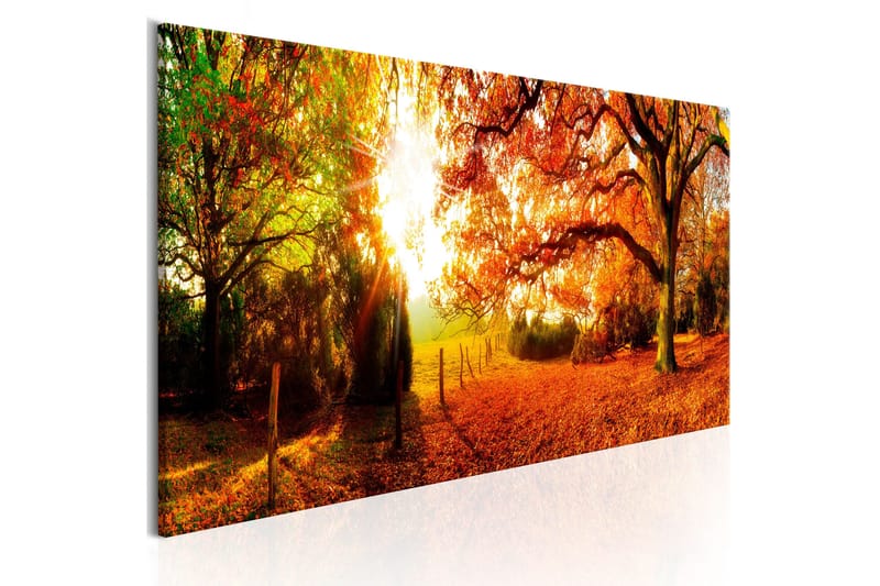 Tavla Magic of Autumn 135x45, Artgeist sp. z o. o.