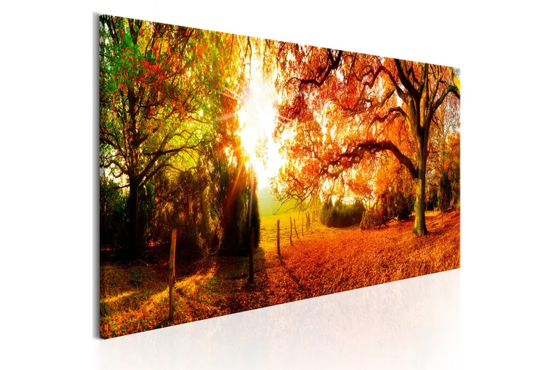 Tavla Magic Of Autumn 150x50, Artgeist sp. z o. o.