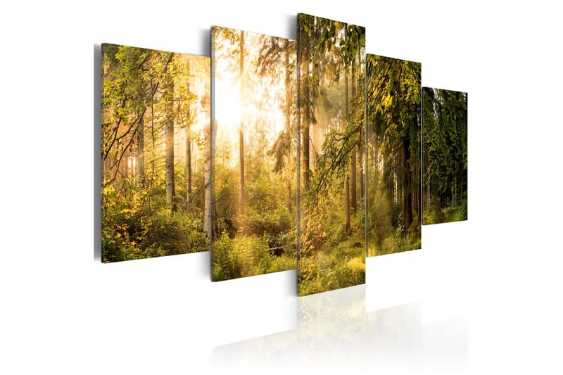 Tavla Magic Of Forest 100x50 - Artgeist sp. z o. o. - Inredning - Tavlor & konst - Canvastavlor