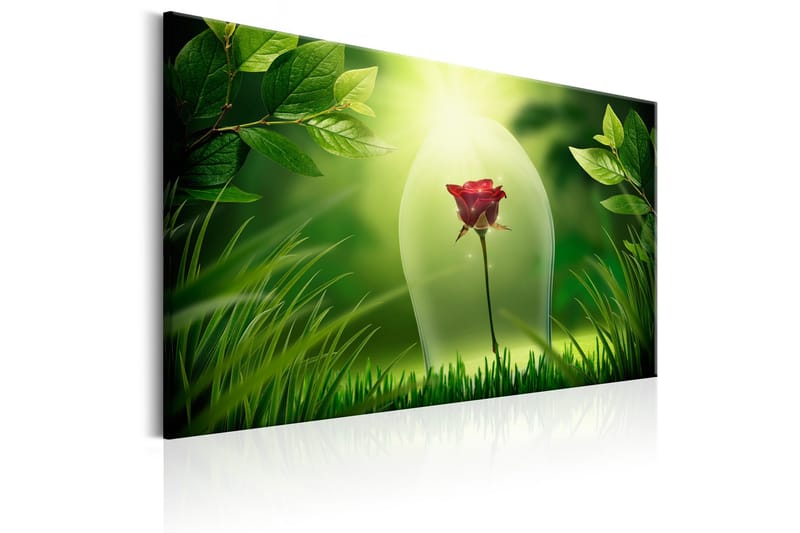 Tavla Magical Rose 60x40 - Artgeist sp. z o. o. - Inredning - Tavlor & konst - Canvastavlor