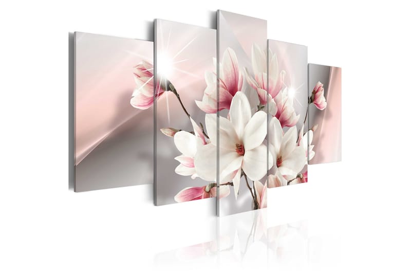 Tavla Magnolia In Bloom 100x50 - Artgeist sp. z o. o. - Canvastavlor