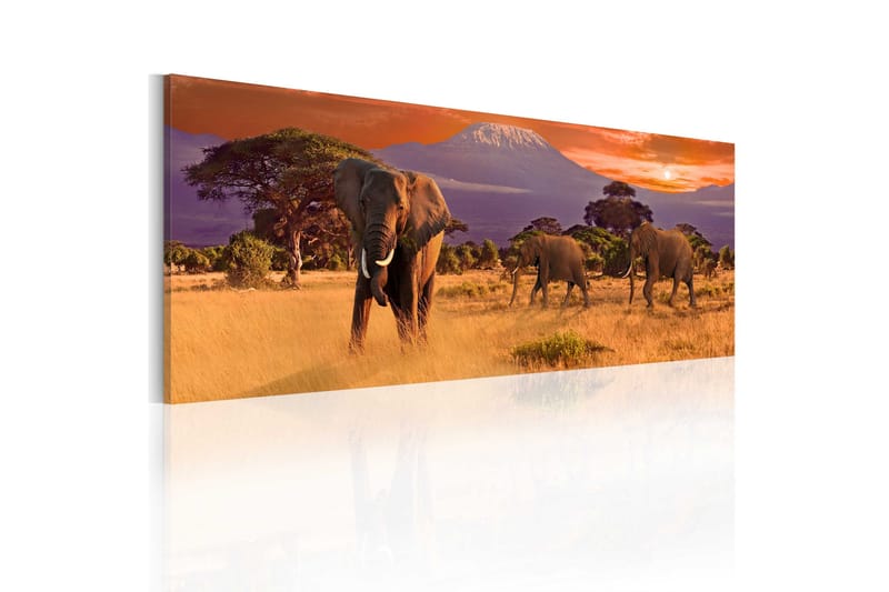 Tavla March Of African Elephants 120x40, Artgeist sp. z o. o.