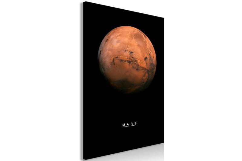 Tavla Mars (1 Part) Vertical 60x90 - Artgeist sp. z o. o. - Inredning - Tavlor & konst - Canvastavlor