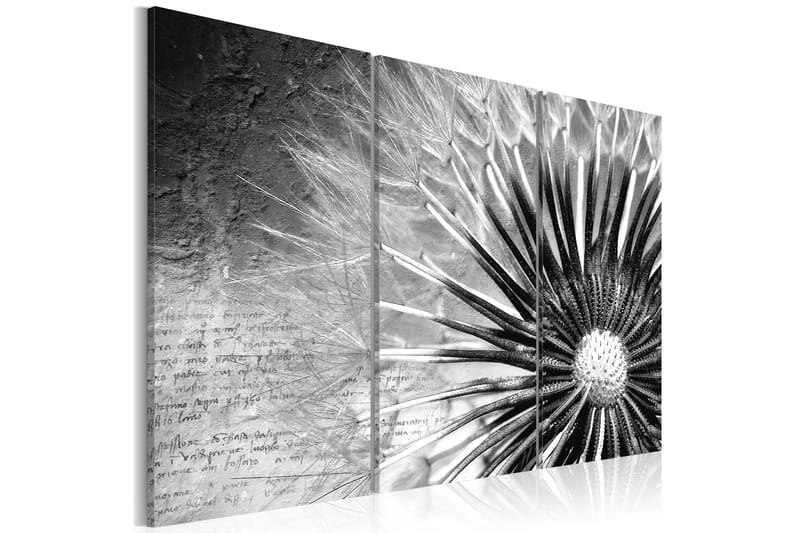 Tavla Maskros Svart Och Vitt 120x80 - Artgeist sp. z o. o. - Inredning - Tavlor & konst - Canvastavlor